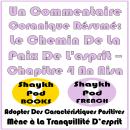 [French] - Un Commentaire Coranique Résumé: Le Chemin De La Paix De L'esprit – Chapitre 4 An Nisa Audiobook