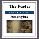 The Furies Audiobook