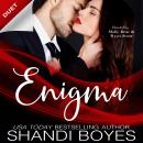 Enigma: Isaac's story Audiobook