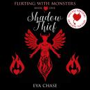 Shadow Thief: Special Edition Audiobook