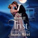 One Moonlit Tryst Audiobook