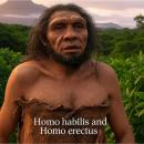 Homo habilis and Homo erectus: The History and Legacy of Modern Humans’ Direct Ancestors Audiobook