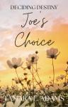 Deciding Destiny: Joe's Choice Audiobook