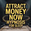 Attract Money Now Hypnosis For Sleep Audiobook