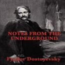 Notes From The Underground Audiobook