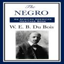 The Negro Audiobook