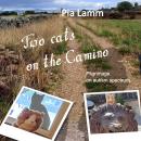 Two Cats on the Camino: Pilgrimage on autism-spectrum Audiobook
