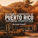 Economic Landscape of Puerto Rico: Historical Perspectives Audiobook