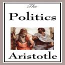 The Politics Audiobook