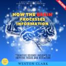 How the Brain Processes Information:: A Deep Dive into Memory, Learning, and Decision-Making (Cognit Audiobook