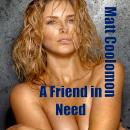 A Friend in Need Audiobook