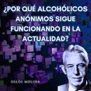 [Spanish] - ¿Por qué Alcohólicos Anónimos sigue funcionando en la actualidad?: Experiencias aa Audiobook