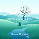 Calm Your Mind: Why Our Children Are Struggling in Today's World: 'Unlock your child's potential wit Audiobook
