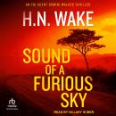 Sound of a Furious Sky Audiobook