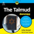 The Talmud For Dummies Audiobook