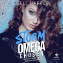 Storm Audiobook