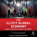 The Illicit Global Economy: What Everyone Needs To Know(r) Audiobook