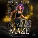 The Night Maze Audiobook
