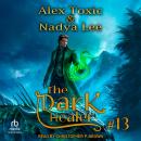 The Dark Healer: Book 13 Audiobook