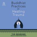 Buddhist Practices for Healing Trauma Audiobook