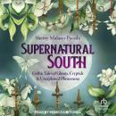Supernatural South: Gothic Tales of Ghosts, Cryptids & Unexplained Phenomena Audiobook