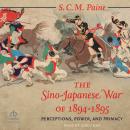 The Sino-Japanese War of 1894-1895: Perceptions, Power, and Primacy Audiobook