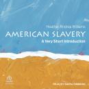 American Slavery: A Very Short Introduction Audiobook