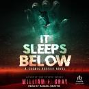 It Sleeps Below: A Cosmic Horror Novel Audiobook
