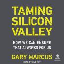 Taming Silicon Valley: How We Can Ensure That AI Works for Us Audiobook