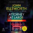 Attorney at Large Audiobook