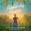 Summerlin Groves Audiobook