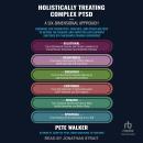 Holistically Treating Complex PTSD: A Six-Dimensional Approach: Guidance for Therapists, Coaches, an Audiobook