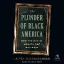 The Plunder of Black America: How the Racial Wealth Gap Was Made Audiobook