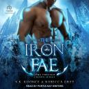 The Iron Fae Audiobook