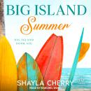 Big Island Summer Audiobook