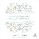 Can Deliberation Cure the Ills of Democracy? Audiobook