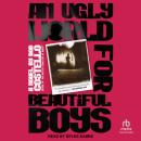 An Ugly World for Beautiful Boys Audiobook