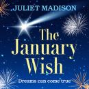The January Wish Audiobook