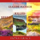 A Lacey Doyle Cozy Mystery Bundle: Vexed on a Visit (#4), Killed with a Kiss (#5), and Perished by a Audiobook