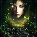 [Polish] - Sala żywiołów: Podniebna twierdza (Sala żywiołów - Tom drugi): Cyfrowa narracja przy użyc Audiobook