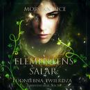 [Swedish] - Elementens salar: Skyhold (Elementens salar – Bok två): Digitalt inläst via en datorgene Audiobook