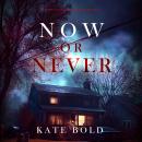 Now Or Never (A Brynn Justice FBI Suspense Thriller—Book Nine): Digitally narrated using a synthesized voice Audiobook