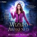 A Wizard Awakened: A Wizard in Vegas, Book 1 Audiobook