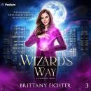 A Wizard's Way: A Wizard in Vegas, Book 3 Audiobook
