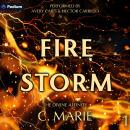 Firestorm: The Divine Affinity, Book 1 Audiobook