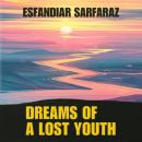 Dreams of a Lost Youth Audiobook