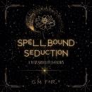 Spellbound Seduction: A Wizard Love Story Audiobook