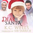 Dear Santa Audiobook