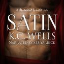 Satin (A Material World Book 2) Audiobook
