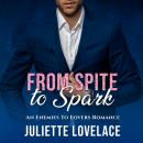 From Spite To Spark: An Enemies To Lovers Romance Audiobook